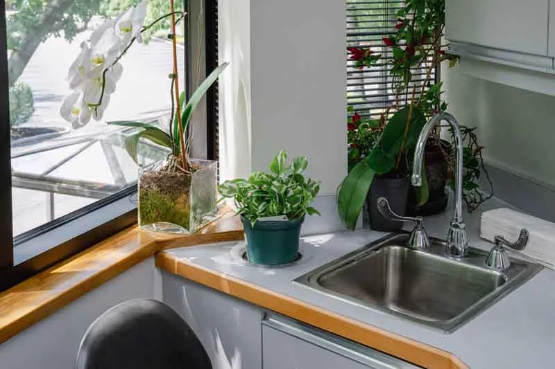 inside the office of Brodine Prosthodontics